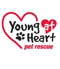 Young at heart pet rescue