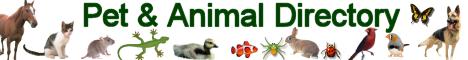 Pet & Animal Directory