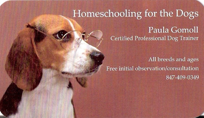 homeschooling for the dogs